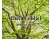 KNJIGA: DUŠA I OBLICI