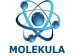 Molekula - prvi hrvatski centar kvantne dijagnostike i terapije