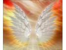 REIKI AKADEMIJA