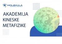 AKADEMIJA KINESKE METAFIZIKE